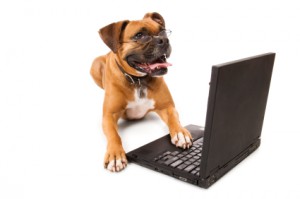 Hund med bærbar computer